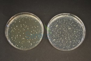 Tos-Propionate Agar (Base) Merck 100043  500 gr