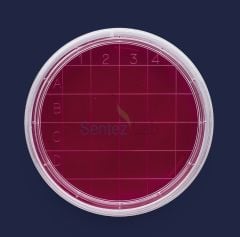 ISOLAB Petri Kutusu Rodak - 60 mm - Steril A  500 Adet