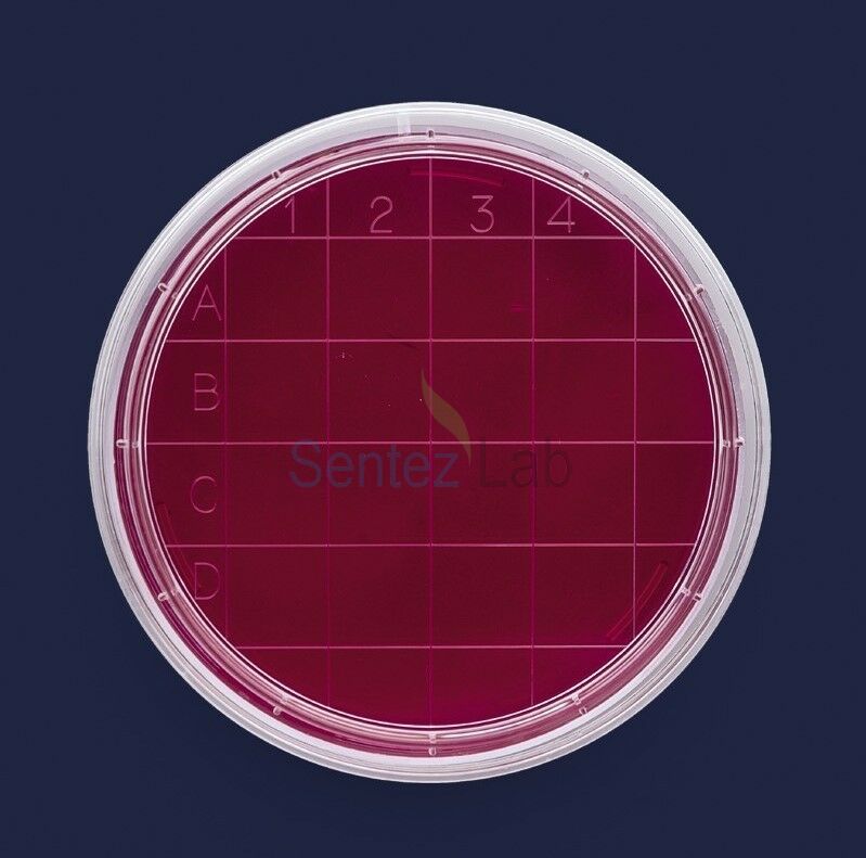 ISOLAB Petri Kutusu Rodak - 60 mm - Gamma Steril 500 Adet