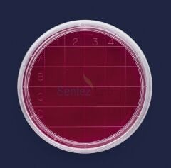 ISOLAB Petri Kutusu Rodak - 60 mm - Gamma Steril 500 Adet