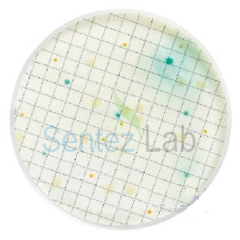 Pseudomonas Selectif Broth-2 ml ampul Pseudomonas İçin Selektif Besiyeri