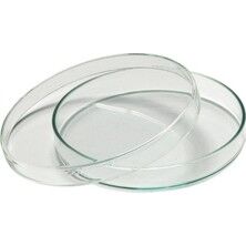 Cam Petri Kutusu 60x15 mm - 20’li Paket