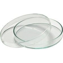 Cam Petri Kutusu 100x15 mm - 10 Adet - Paket