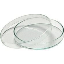 Cam Petri Kutusu 100x15 mm - 10 Adet - Paket